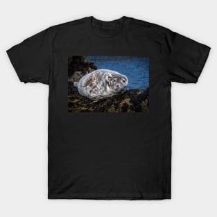 Grey Seal on the Rocks T-Shirt